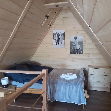 Apartament Szarotka Zakopane Buitenkant foto